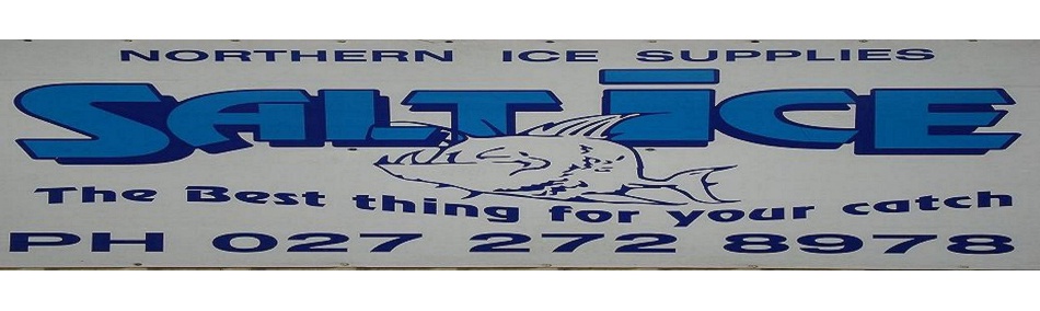 Northern Ice logo