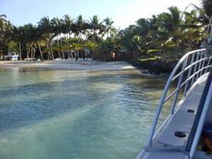 SAMOA 2012 - EXTREME FISHING AT SINALEI REEF & SPA RESORT - Gone